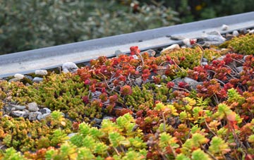the cost of Naunton Beauchamp green roof installation