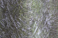 Naunton Beauchamp fibreglass roof work